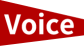 voice_tag